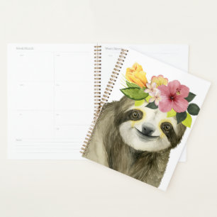 Halo tropical Sweet Sloth