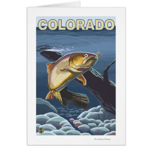 Halsabschneiderische Forelle FishingColorado
