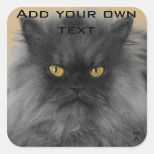 Halte es an... quadratischer aufkleber