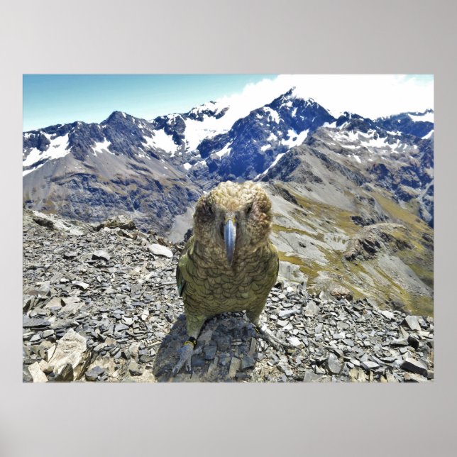 Halten Sie sich aus Poster (Vorne)