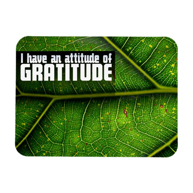 "Haltung der Dankbarkeit" Motivation Affirmation Magnet (Horizontal)