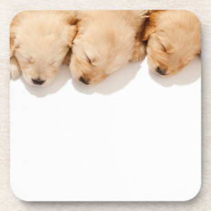 Haltung Golden Retriever Welpen Getränkeuntersetzer