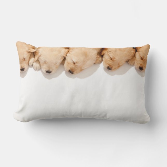 Haltung Golden Retriever Welpen Lendenkissen (Vorderseite)