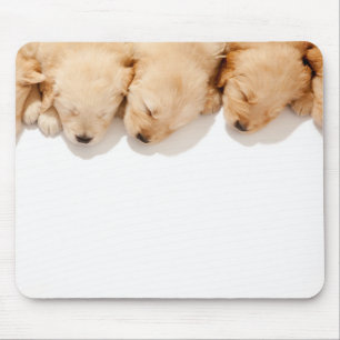 Haltung Golden Retriever Welpen Mousepad