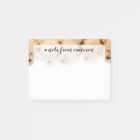 Haltung Golden Retriever Welpen
