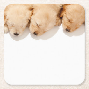 Haltung Golden Retriever Welpen Rechteckiger Pappuntersetzer