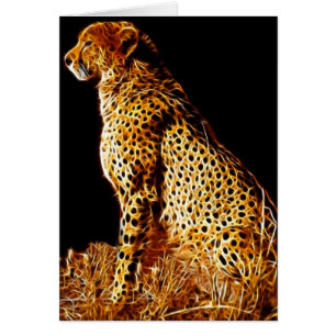 Haltung von Cheetahs