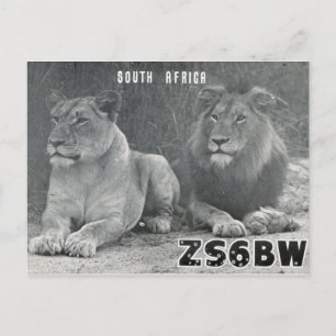 Ham Radio QSL Card Südafrika Lions Postkarte