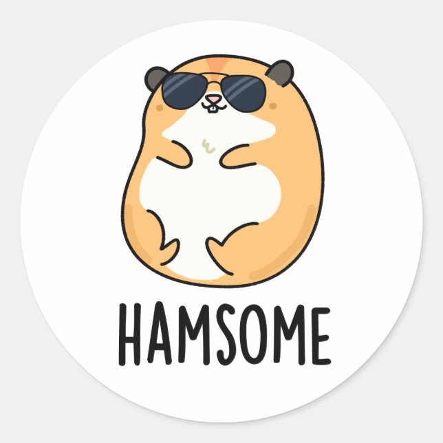 Ham-some Funny Handsome Hamster Pun Runder Aufkleber (Vorderseite)