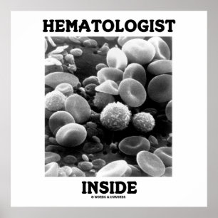 Hämatologe-Innere (Blutzellen) Poster
