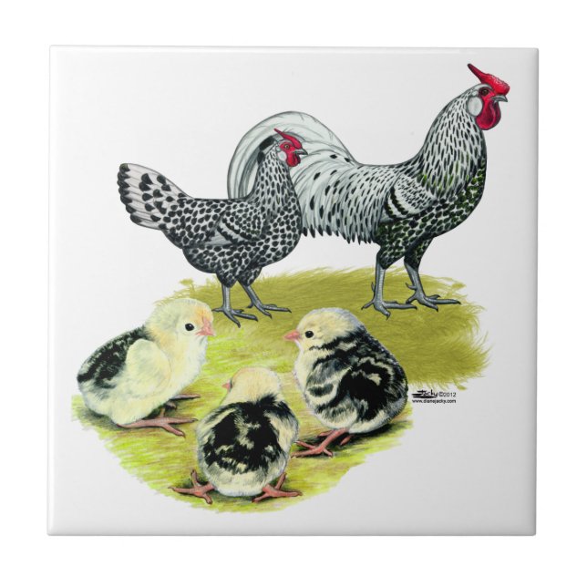 Hamburger Familie Fliese (Vorderseite)