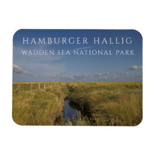 Hamburger Hallig, Wattenmeer, Deutschland Magnet