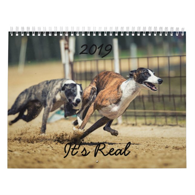 HAMbWG 2019 Wit Calender Kalender (Titelbild)