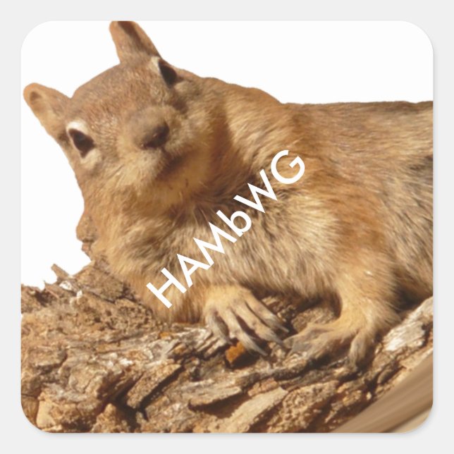 HAMbWG - Aufkleber - Eichhörnchen, weißes Logo (Vorderseite)