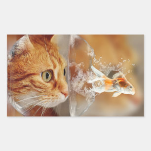 HAMbWG - Aufkleber für das Rechteck - Katze mit Fi