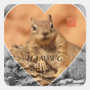 HAMbWG - autocollants - logo de coeur de