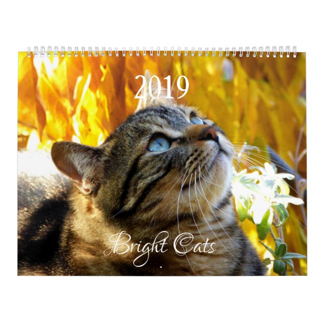 HAMbWG - Calendrier des chats brillants (Protection)