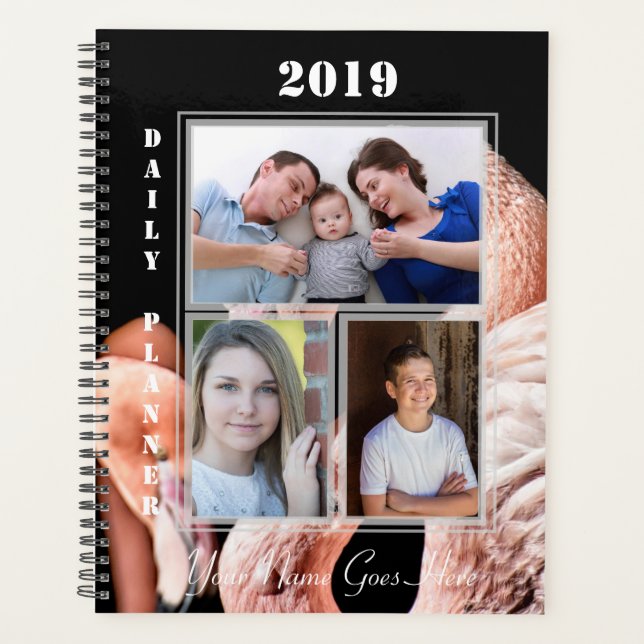 HAMbWG - Flamants roses roses (Devant)