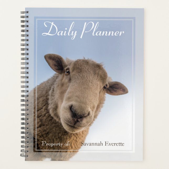 HAMbWG - Photo Daily Planner - Moutons (Devant)