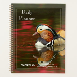 HAMbWG - Planificateur quotidien - Petit colvert