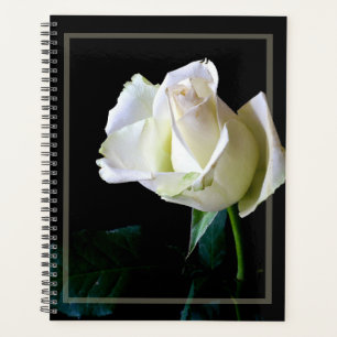 HAMbWG - Planificateur quotidien - Rose blanche