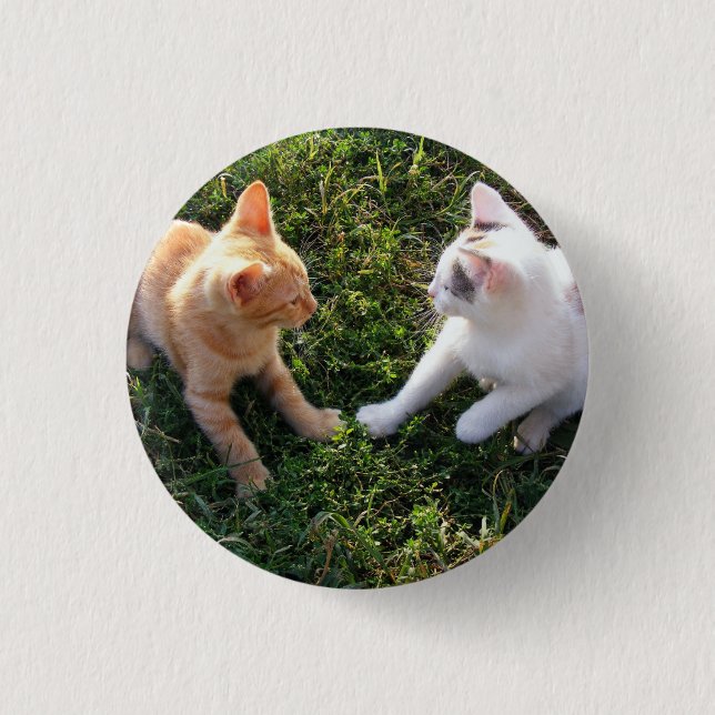 HAMbWG - Square Button - 2 Katzen (Vorderseite)