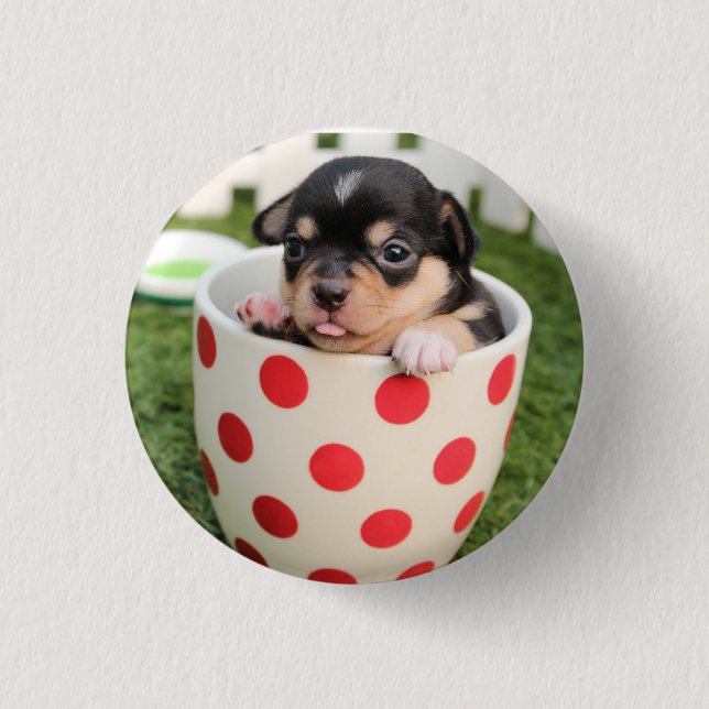 HAMbWG - Square Button - Teacup Puppy (Vorderseite)