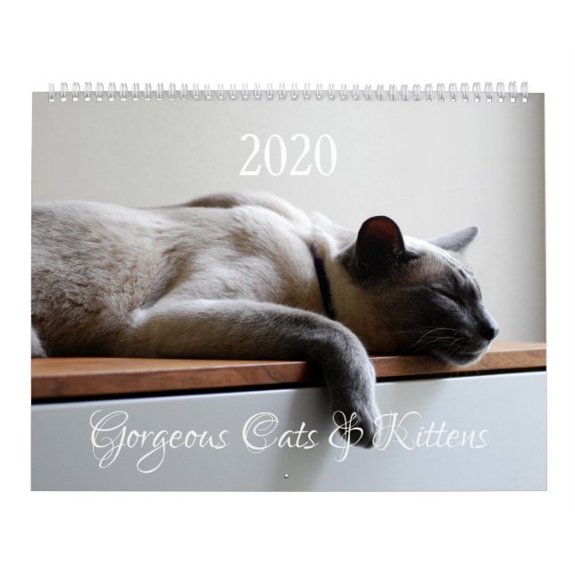 HAMbyWG - 2020 Großartige Katzen Kalender (Titelbild)