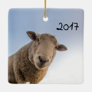 HAMbyWG Big Brother Sheep Joke Keramikornament