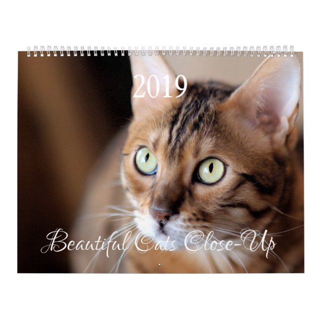 HAMbyWG - Großartige Katzen Kalender (Titelbild)
