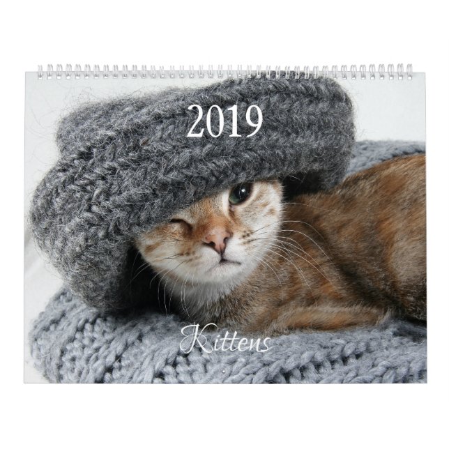 HAMbyWG Kitten Kalender (Titelbild)