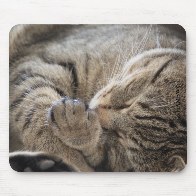 HAMbyWG - Mouse Pad - Cuddling Kitten Mousepad (Vorne)