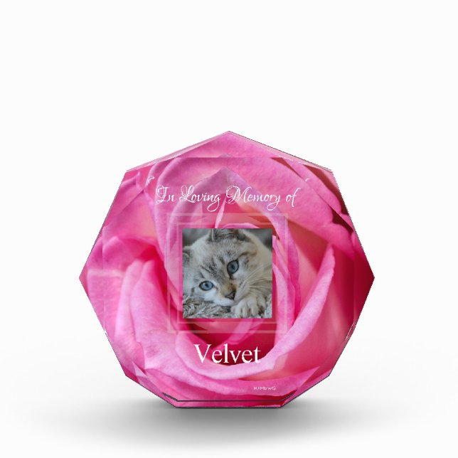 HAMbyWG Pink Rose Akryllischer Foto Block (Vorderseite)