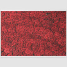 HAMbyWG-Rote Rosen