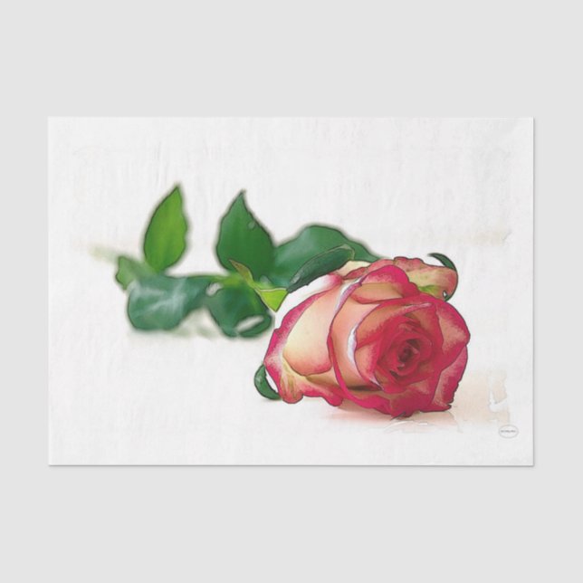HAMbyWG - Single Rose Seidenpapier (Vorderseite)