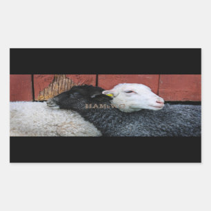 HAMbyWG- Stickers - Schwarzes Schaf, weißes Schaf