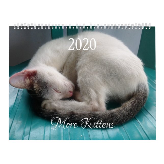 HAMbyWG - Weitere Kätzchen Kalender (Titelbild)
