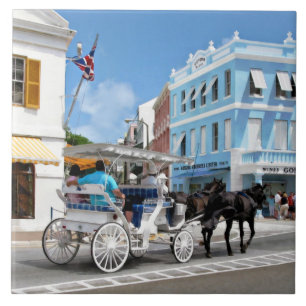 Hamilton Bermuda Kutschenfahrt Fliese