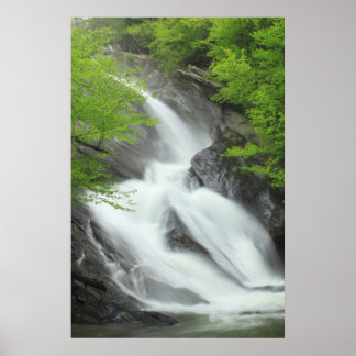Hamilton Falls Green Mountains Vermont Poster