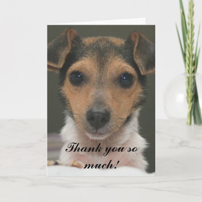 Hamlin - Vielen Dank! Dankeskarte (Vorderseite)