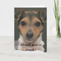 Hamlin - Vielen Dank!