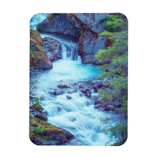 Hamma Hamma Creek Magnet (Vertikal)