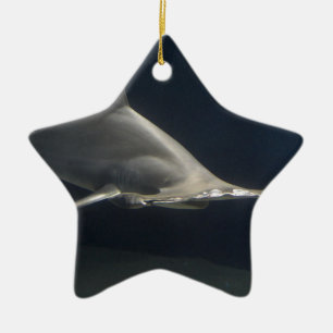 Hammerhai-Haifisch Keramikornament