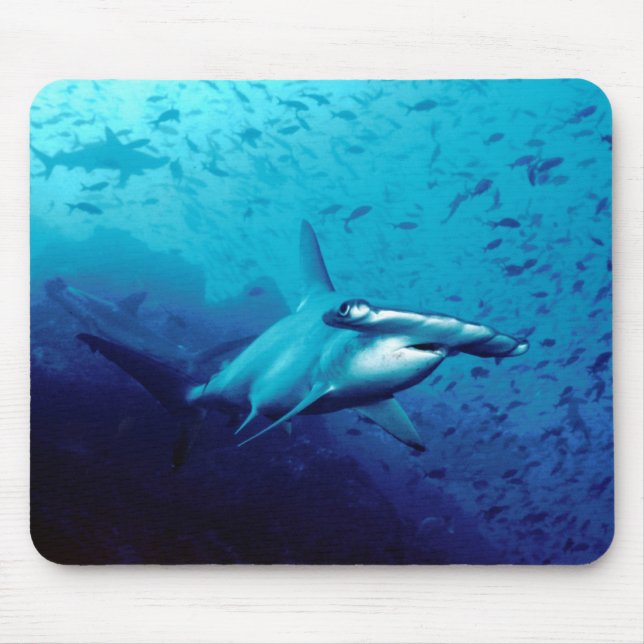 Hammerhaihaifisch Mousepad (Vorne)