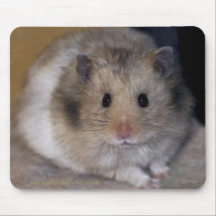 Hammie Mousemat Mousepad