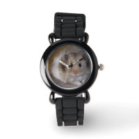 Hammie Watch