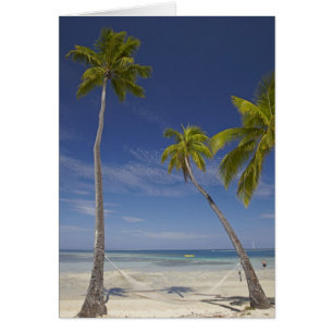 Hammock and palm trees, Plantation Island Resort