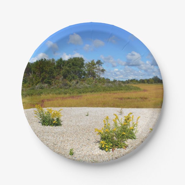 Hammonasset Beach Paper Plate Pappteller (Vorderseite)