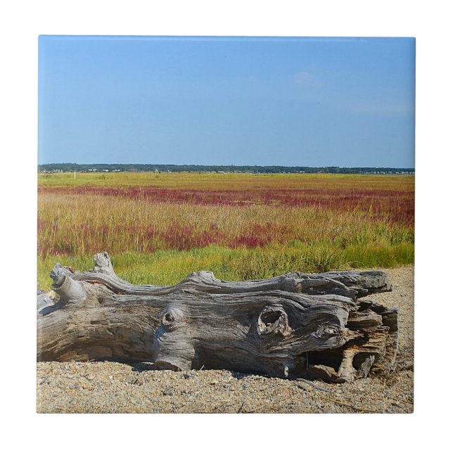 Hammonasset Beach Tile Fliese (Vorderseite)