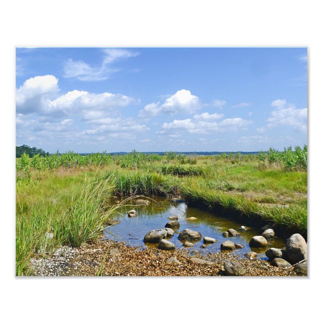 Hammonasset Marsh Foto Print (Vorne)